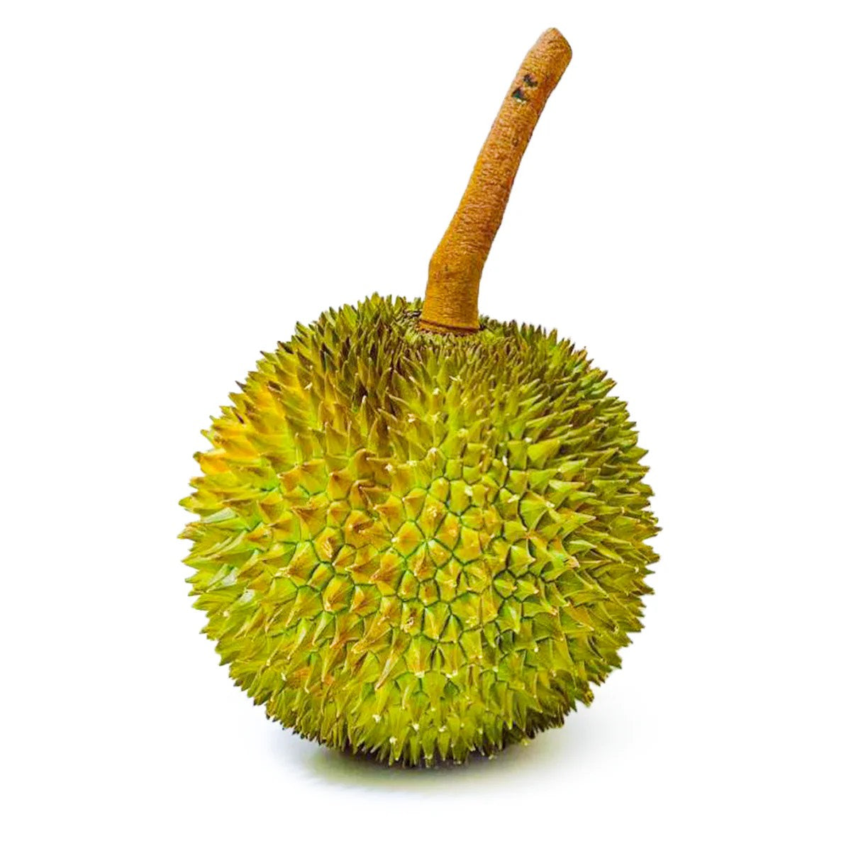 Thai Kanyao Durian (lb) $15/LB (About 3.5LB)