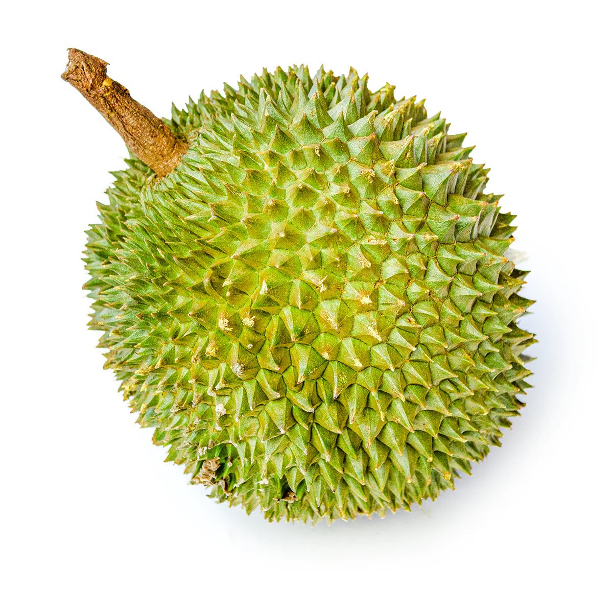 Thai Kanyao Durian (lb) $15/LB (About 3.5LB)