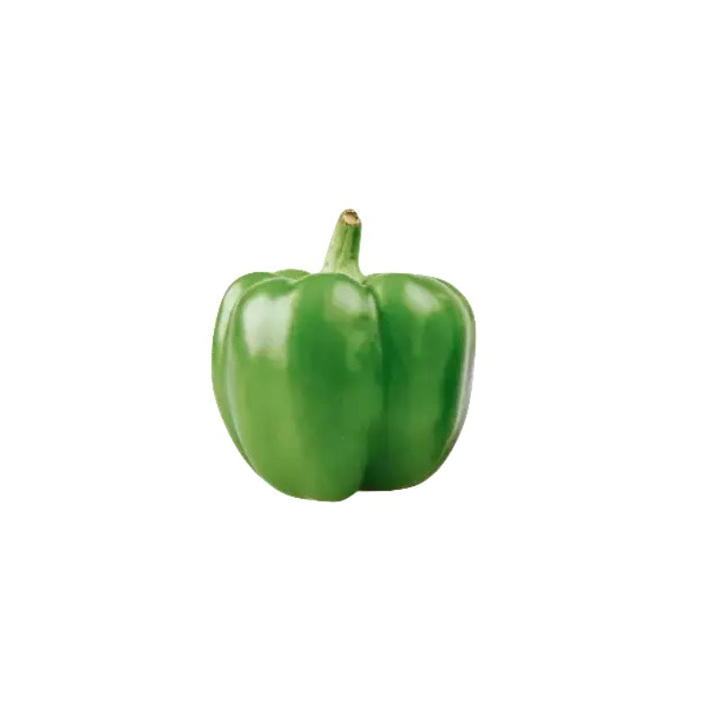Green Bell Pepper 1LB