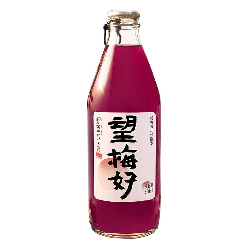 Hao Wang Shui · Waxberry Juice Soda Beverage (300ml)