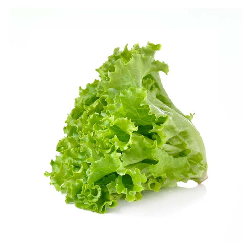 Green Leave Lettuce (2pcs)