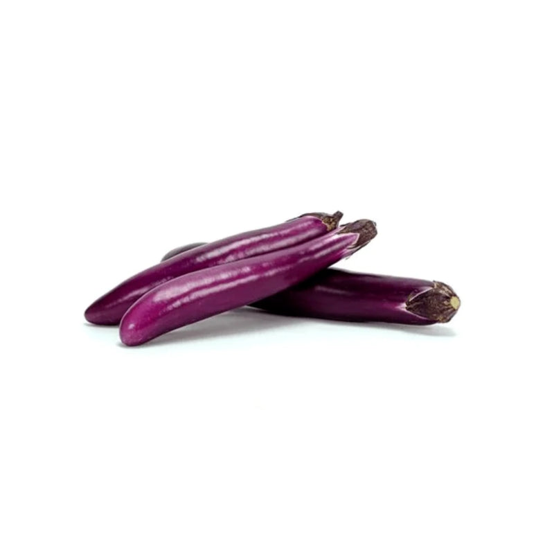 South American Eggplant 2LB
