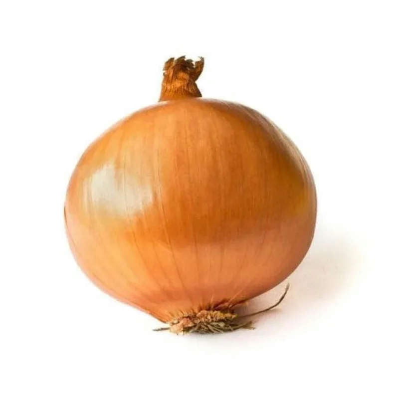 Large Onion 1lb