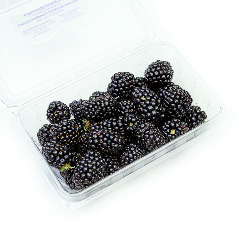 Sweetest Batch Blackberries (283g)