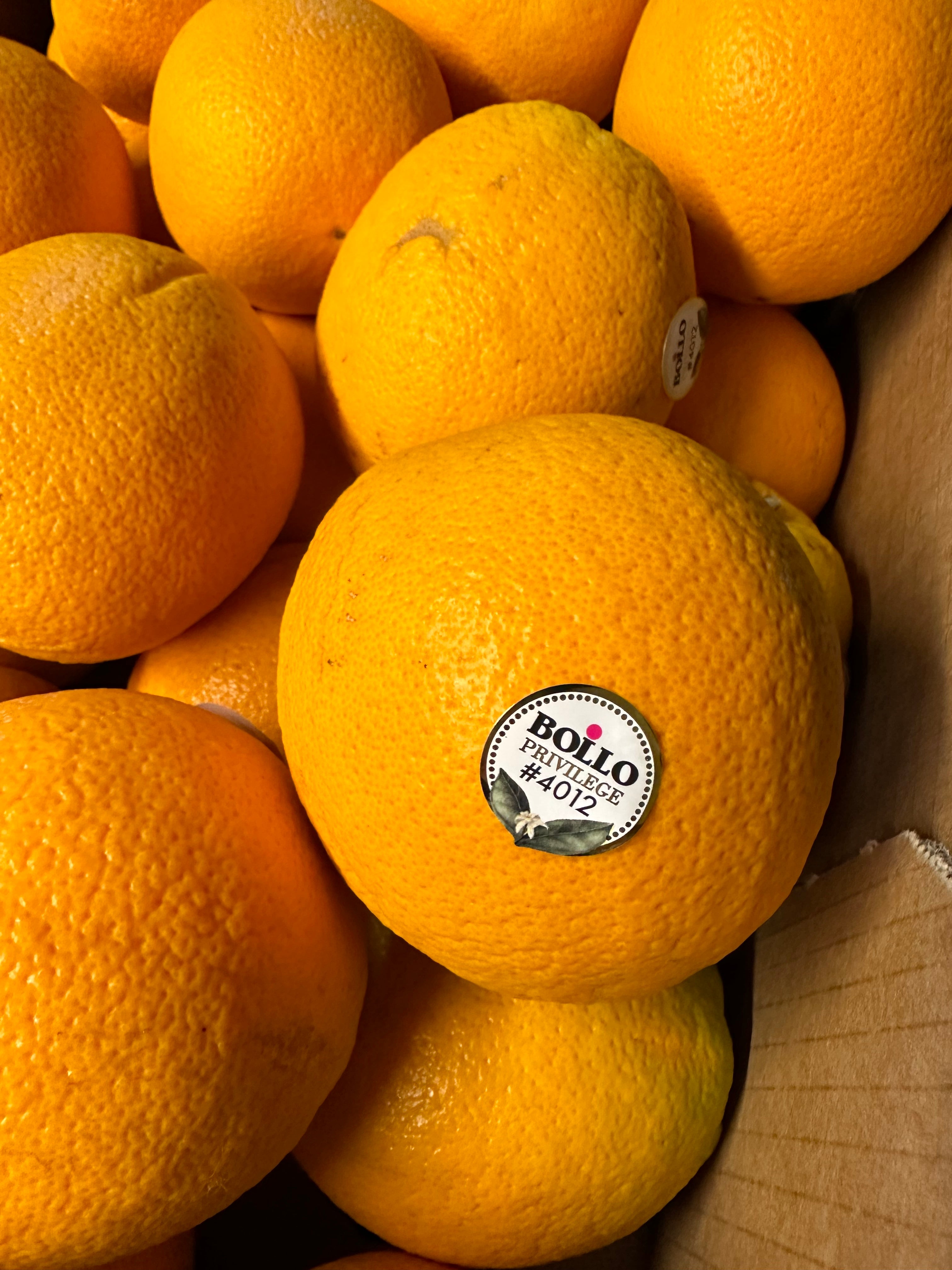 Bollo Spain Oranges #4012