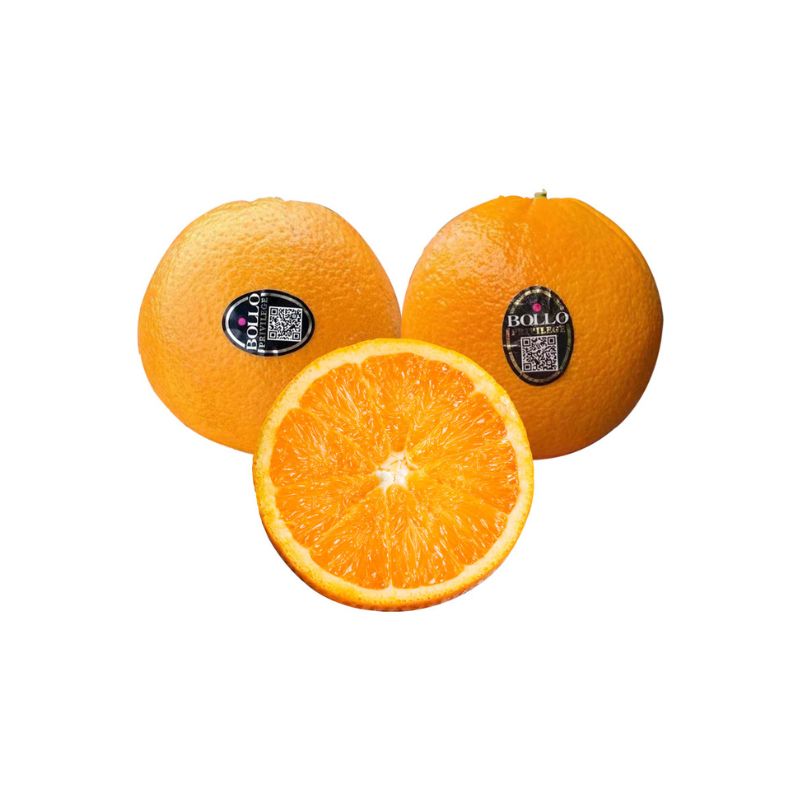 西班牙大甜橙 #4012