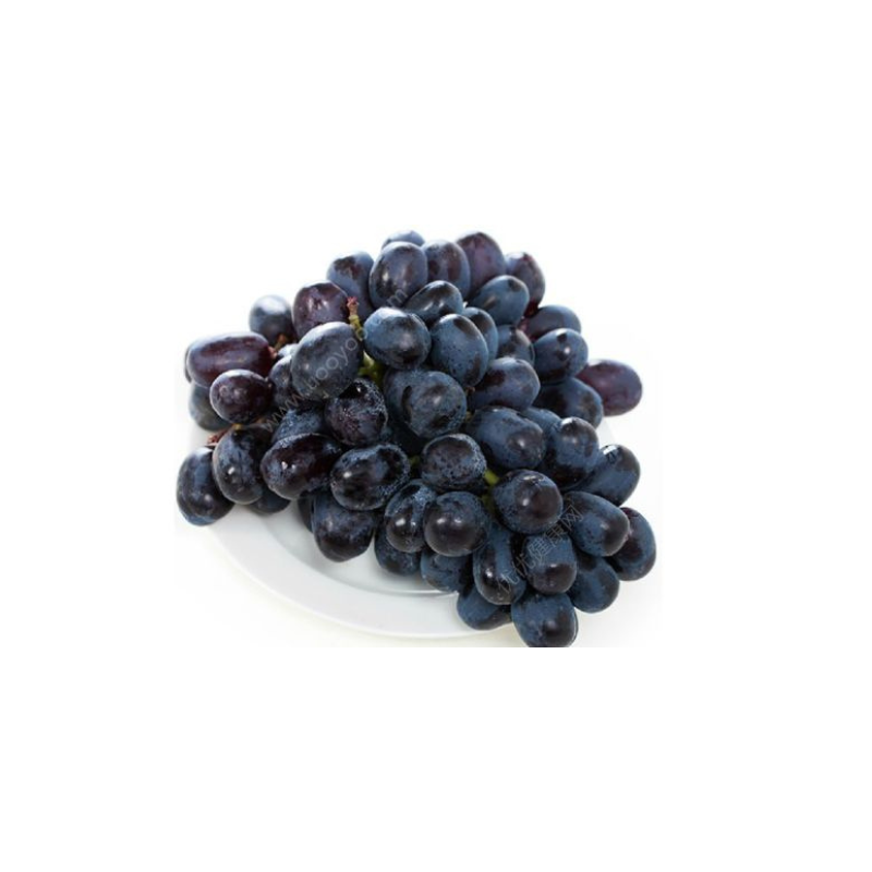 Premium Black Grapes 1 Bag/About 2LB