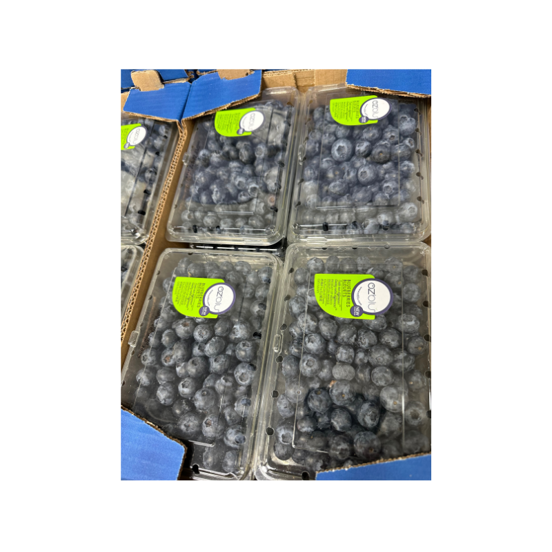 Ozblu Blueberry Product of Mexico 312g/Pack