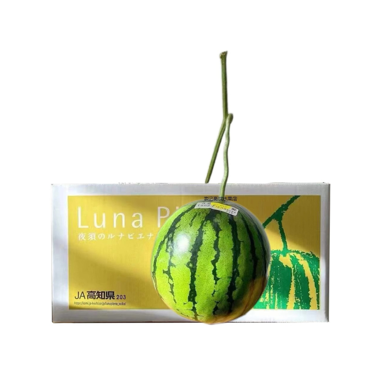 Japan Luna Piena Watermelon By Air (1 Melon/Pack)