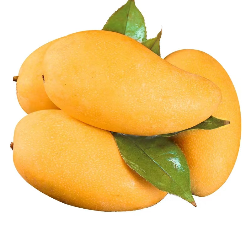 Hainan Golden Mango By Air (About 500g/Each)