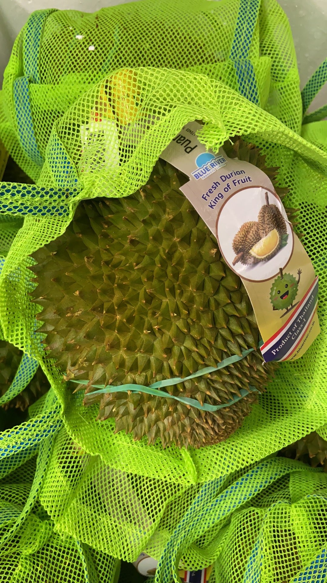Thai Durian D123 Tomani (lb) $14.5/LB (About 3.5LB)