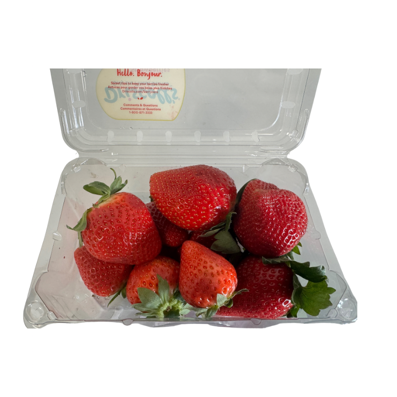 DRISCOLL’S STRAWBERRIES 16oz(1lb)