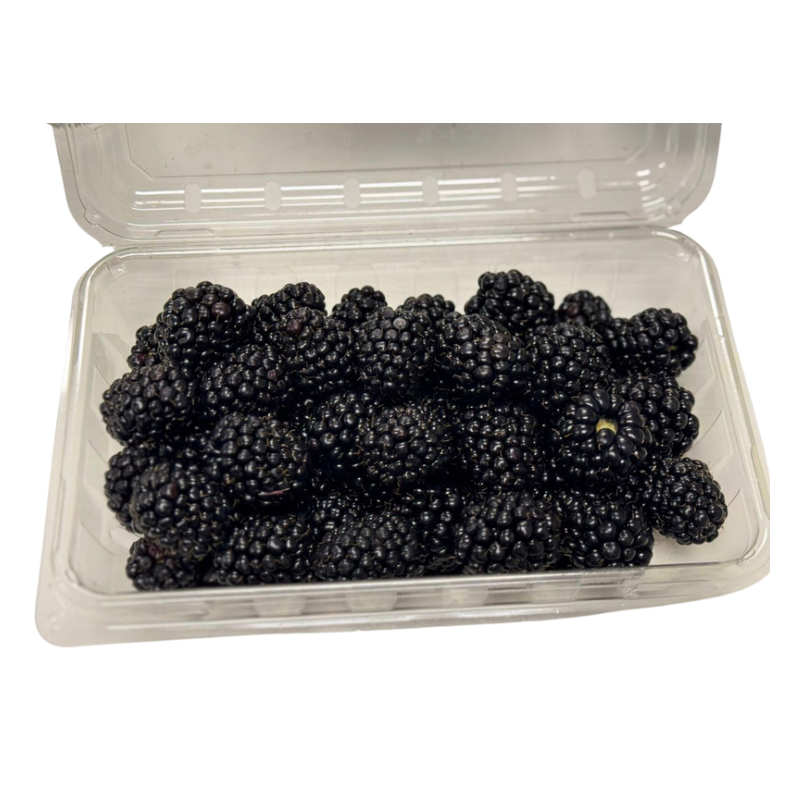 Sweetest Batch Blackberries 1 pack (283g)